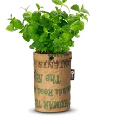 Tea Garden Bio Munt^Baza New