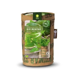 Tea Garden Bio Munt^Baza New