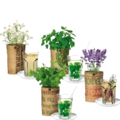 Kweken En Zaden<Baza Theekruiden Kweek Pakket