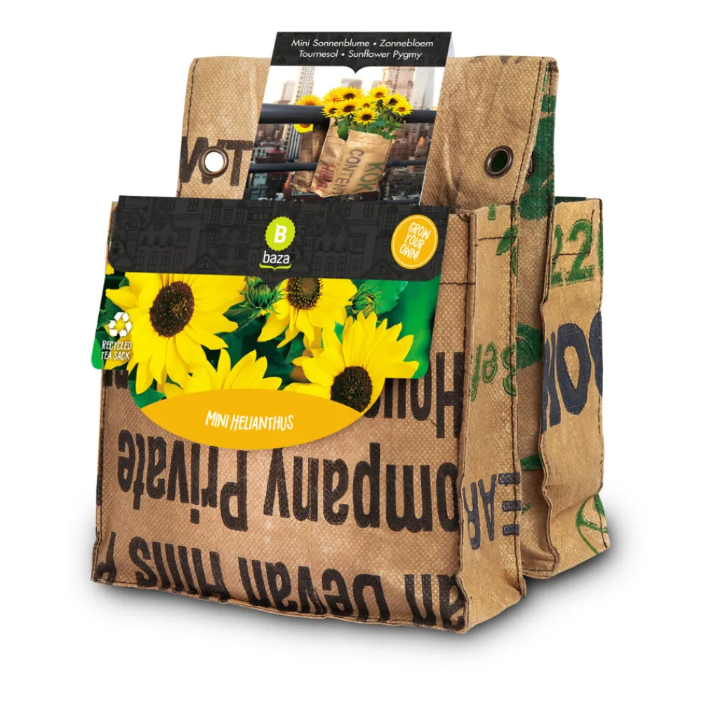 Urban Garden Balkontuin 2 Soorten Zonnebloemen^Baza Online