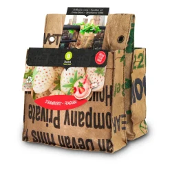 Outlet Urban Garden Balkontuin Aardbei Wit & Rood Kweken En Zaden