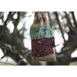 Vogel- Buffet Picknick Sijsjes^Baza Best