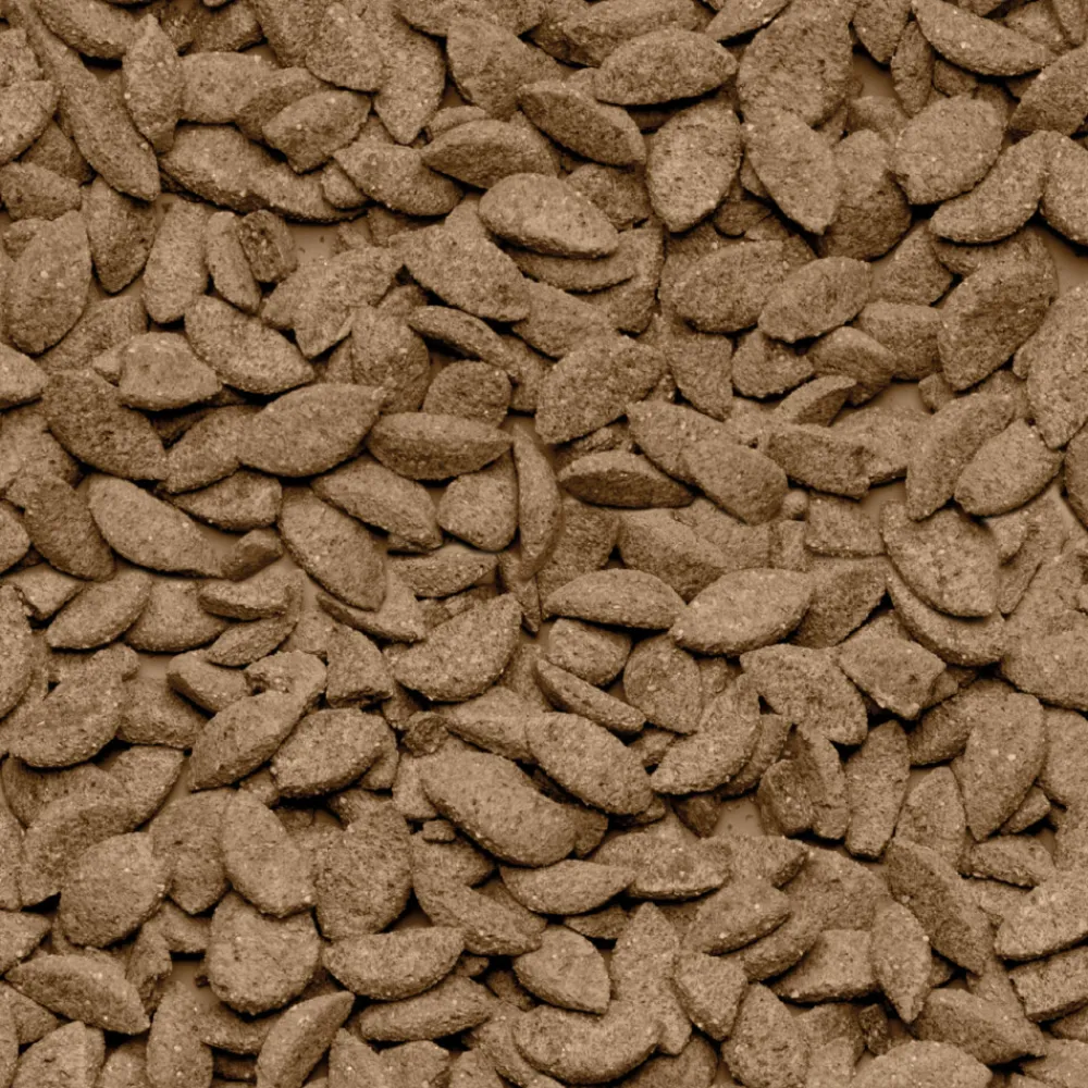 Droogvoer & Zaden<Beaphar Care+ Chinchilla 1,5 kg