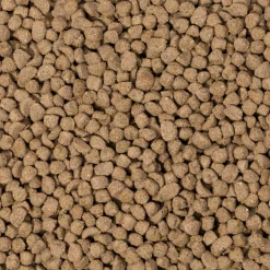 Droogvoer & Zaden<Beaphar Care+ Konijn Junior 1,5 kg