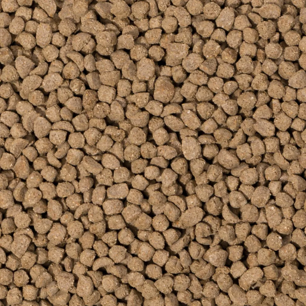 Droogvoer & Zaden<Beaphar Care+ Konijn Junior 1,5 kg