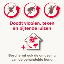 Vlo, Teek & Worm<Beaphar Combotec Anti Teken- en Vlooiendruppels Hond 2-10 kg 2 pipetten