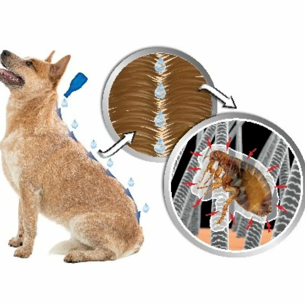 New DIMETHIcare Line-On Anti Vlooiendruppels Kat vanaf 1 kg 6 x 1 ml Vlo, Teek & Worm