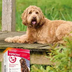 Sale Fiprotec Anti Teken- & Vlooiendruppels Hond 40 - 60 kg 4 stuks Vlo, Teek & Worm