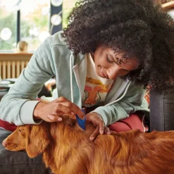 Fiprotec Anti Teken- en Vlooiendruppels Hond 2 - 10 kg 4 stuks^Beaphar Outlet