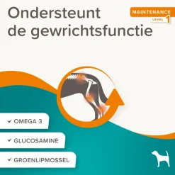 Flexifit Sticks 175 gr^Beaphar Best