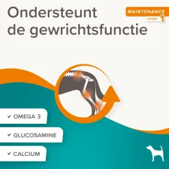 Flexifit Treats 150 gr^Beaphar New