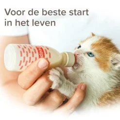 New Lactol Melk Kitten 250 gr Kattenvoer
