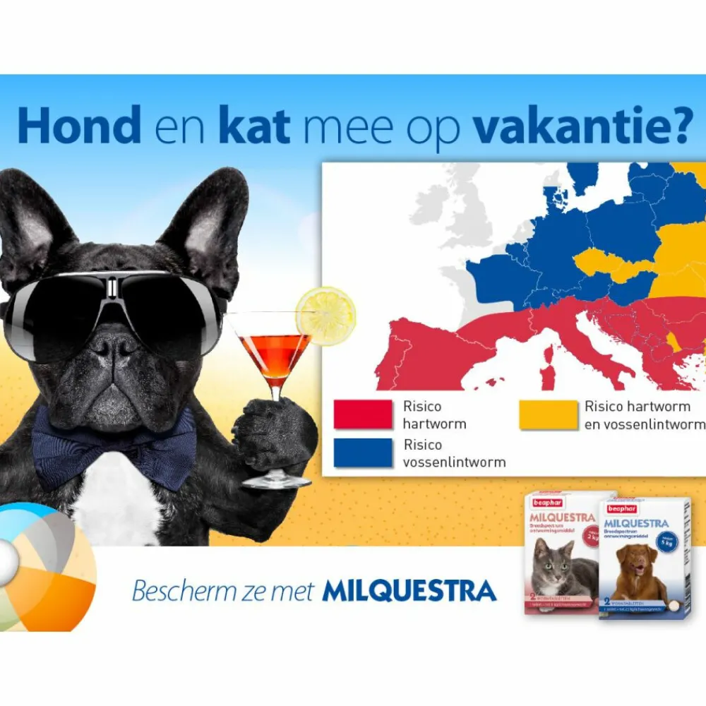 Hot Milquestra Ontworming Tabletten Kat 0,5 - 4 kg (ook kitten) 2 tabletten Vlo, Teek & Worm