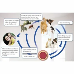 Hot Milquestra Ontworming Tabletten Kat 0,5 - 4 kg (ook kitten) 2 tabletten Vlo, Teek & Worm