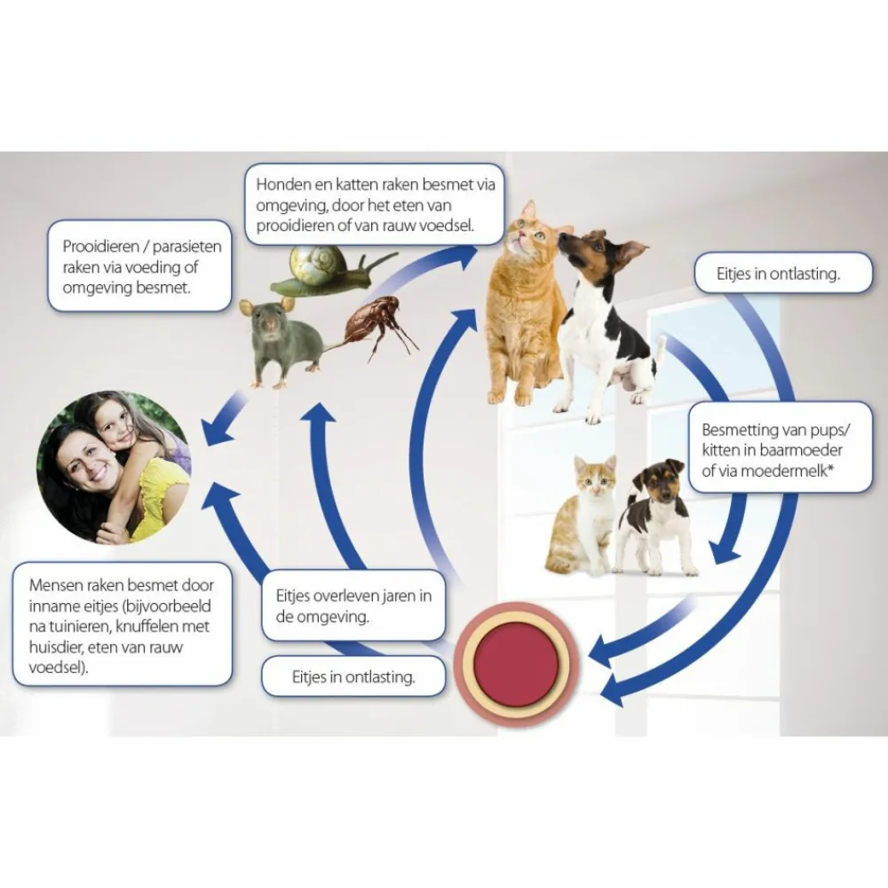 Hot Milquestra Ontworming Tabletten Kat 0,5 - 4 kg (ook kitten) 2 tabletten Vlo, Teek & Worm