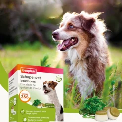 Snacks<Beaphar Schapenvet Bonbons Mini Zeewier 245 gr