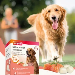 Snacks<Beaphar Schapenvet Bonbons Zalm 245 gr