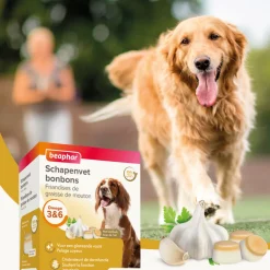 Sale Schapenvet Bonbons Mini Knoflook 245 gr Snacks