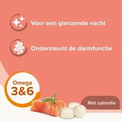 Snacks<Beaphar Schapenvet Bonbons Mini Zalm 245 gr