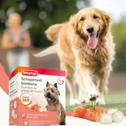 Snacks<Beaphar Schapenvet Bonbons Mini Zalm 245 gr