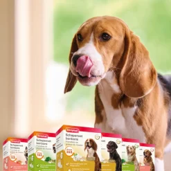 Snacks<Beaphar Schapenvet Bonbons Mini Zalm 245 gr