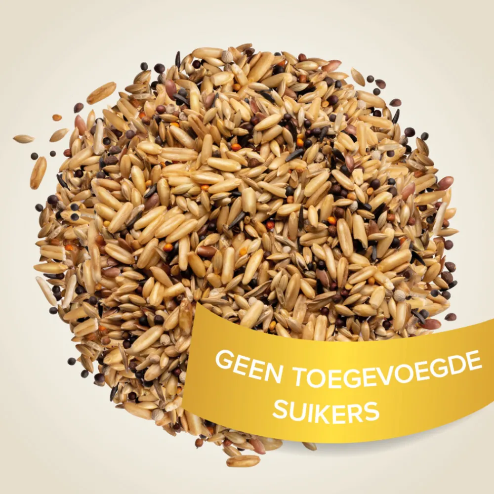 Best Snoepzaad Snoepzaad 150 gr Snacks|Droogvoer & Zaden