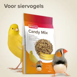 Best Snoepzaad Snoepzaad 150 gr Snacks|Droogvoer & Zaden