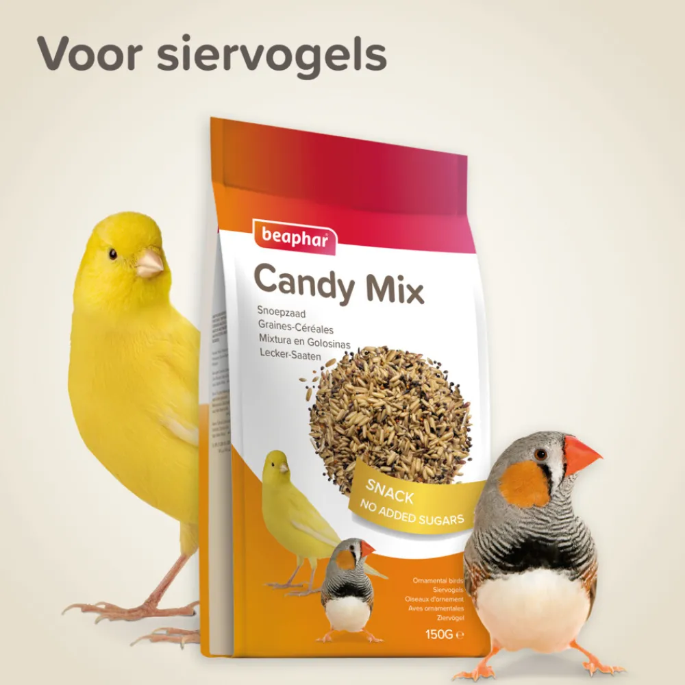 Best Snoepzaad Snoepzaad 150 gr Snacks|Droogvoer & Zaden