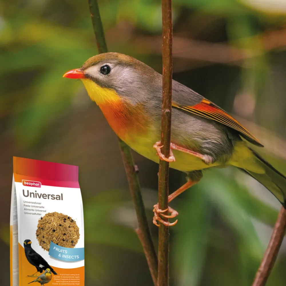 Online Universeelvoer 10 kg Vogels En Tuindieren