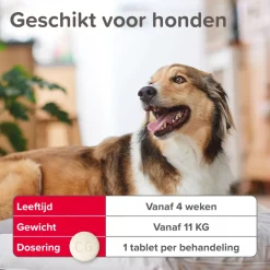 Vlo, Teek & Worm<Beaphar Vlo Kill Anti Vlooien Tabletten Hond 11 - 57 kg 6 tabletten