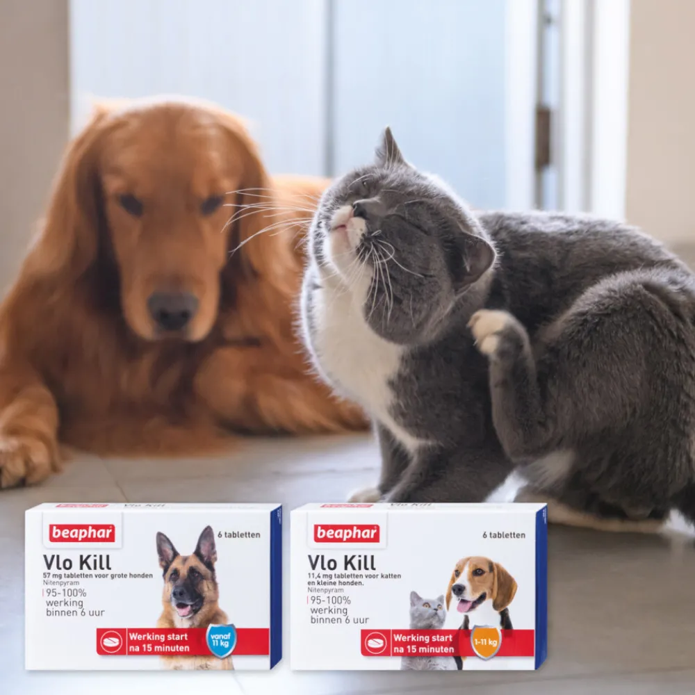 Vlo, Teek & Worm<Beaphar Vlo Kill Anti Vlooien Tabletten Hond 11 - 57 kg 6 tabletten