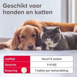 Vlo, Teek & Worm|Vlo, Teek & Worm<Beaphar Vlo Kill Anti Vlooien Tabletten Hond/Kat 1 -11 kg 6 tabletten