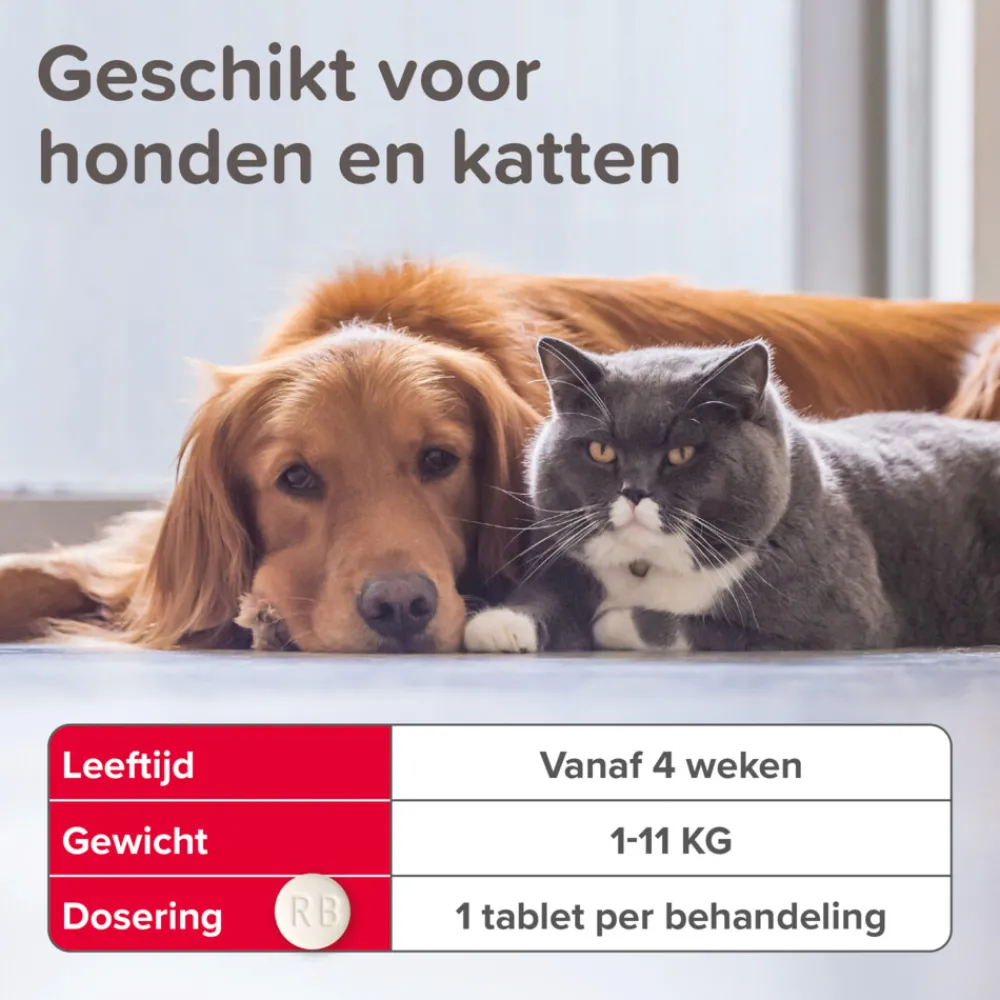 Vlo, Teek & Worm|Vlo, Teek & Worm<Beaphar Vlo Kill Anti Vlooien Tabletten Hond/Kat 1 -11 kg 6 tabletten