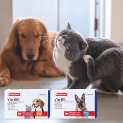 Vlo, Teek & Worm|Vlo, Teek & Worm<Beaphar Vlo Kill Anti Vlooien Tabletten Hond/Kat 1 -11 kg 6 tabletten