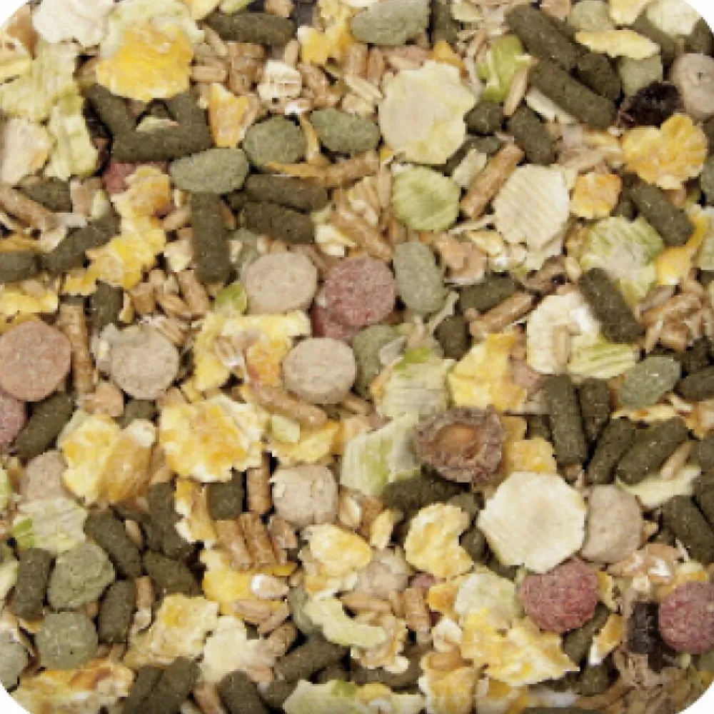 New XtraVital Caviavoer 2,5 kg Droogvoer & Zaden