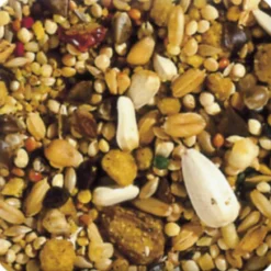 Sale XtraVital Grote Parkiet 1 kg Droogvoer & Zaden