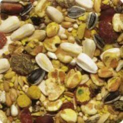 XtraVital Papegaai 1 kg^Beaphar Best