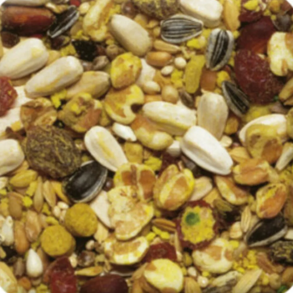 XtraVital Papegaai 1 kg^Beaphar Best