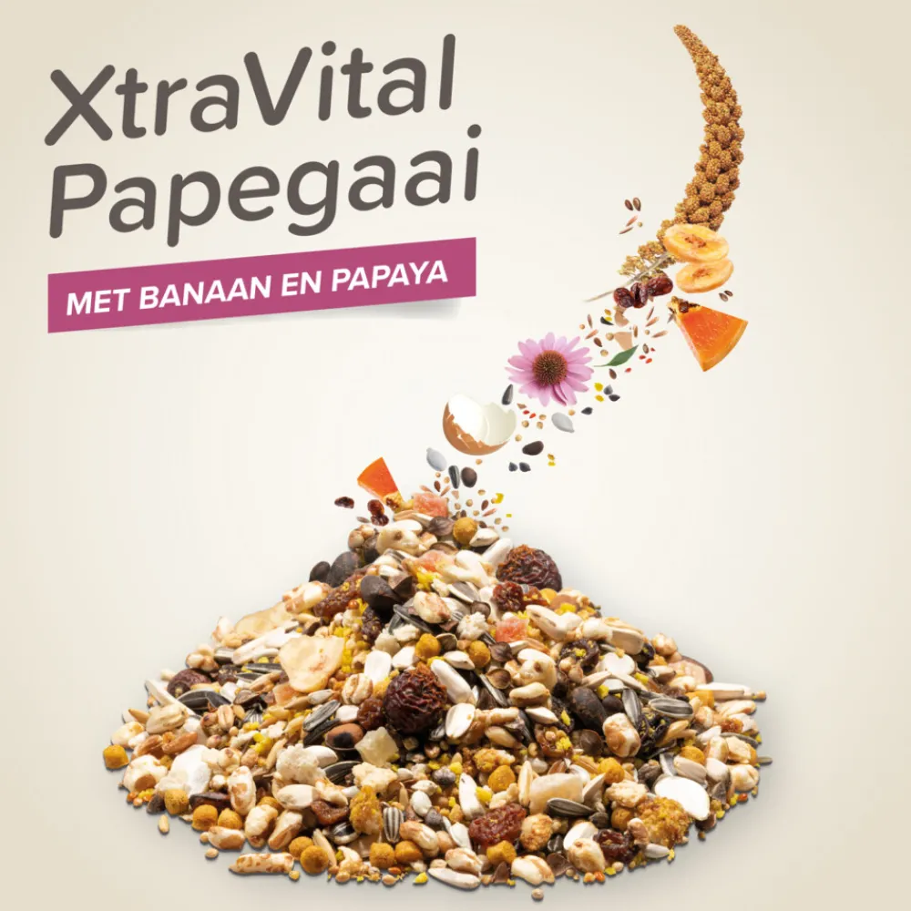 XtraVital Papegaai 1 kg^Beaphar Best