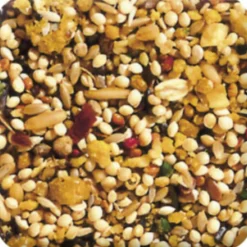 Droogvoer & Zaden<Beaphar XtraVital Parkiet 500 gr