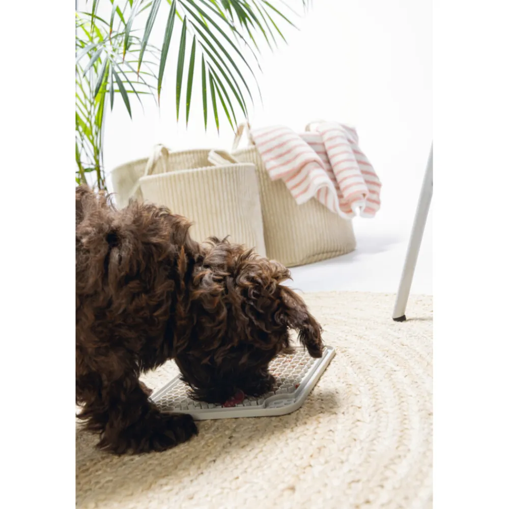 Likmat Silica Diza Grijs 20 x 20 cm^Beeztees Best