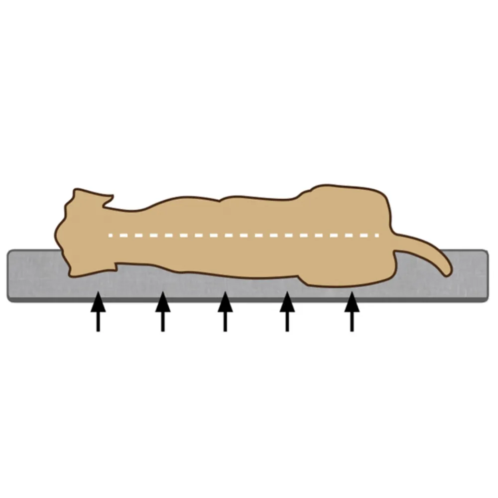 Discount Orthopedisch Ligkussen Zira Grijs 120 x 80 cm Manden & Dekens