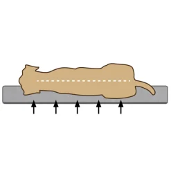 Manden & Dekens<Beeztees Orthopedisch Ligkussen Zira Grijs 100 x 70 cm