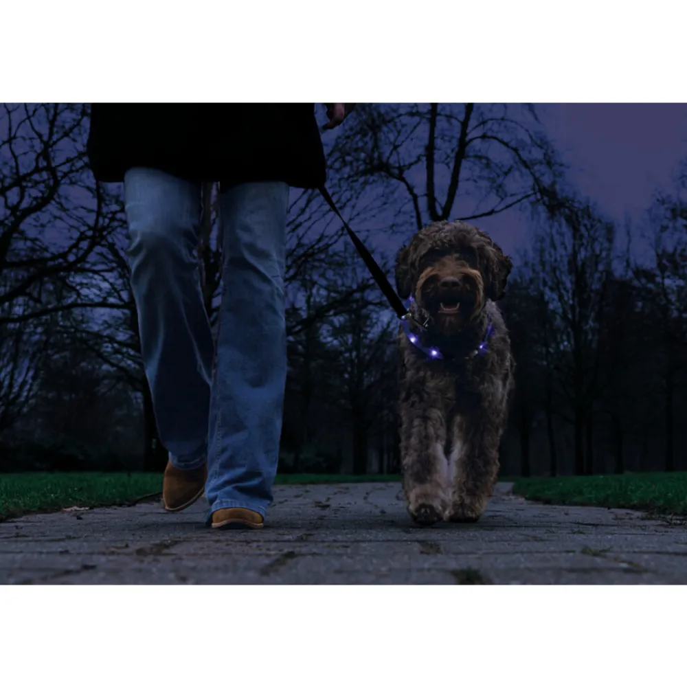 Safety Gear Halsband +USB Dogini Blauw 70 x 10 cm^Beeztees Best