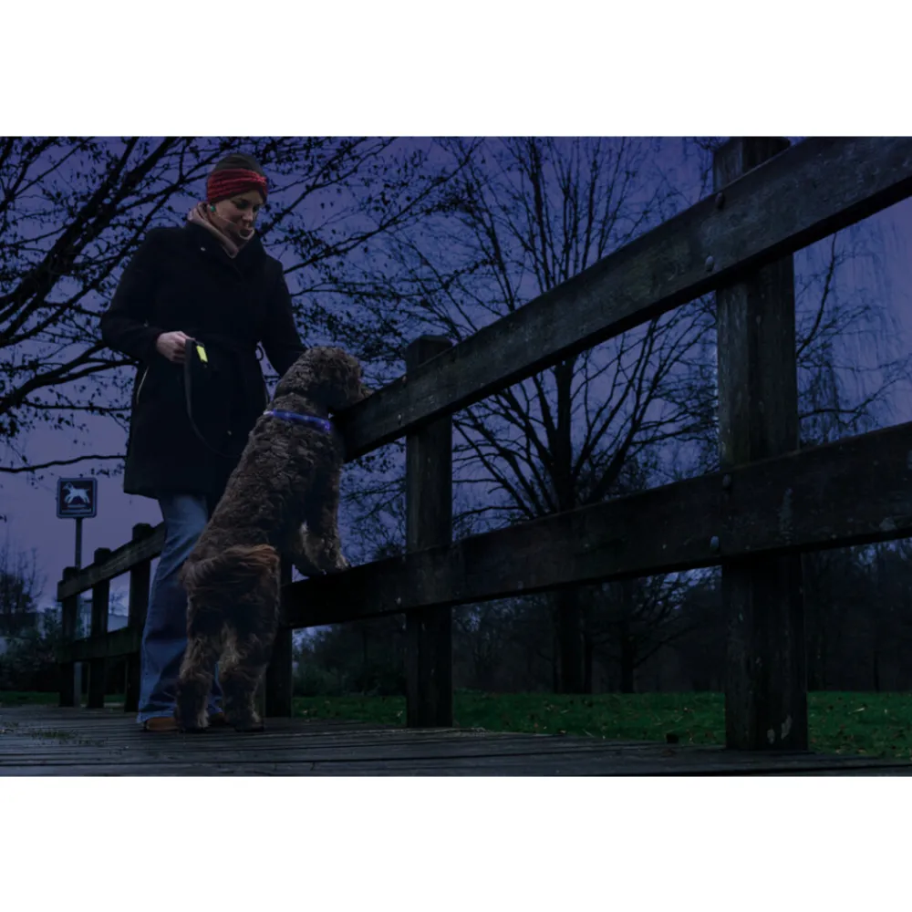 Safety Gear Halsband +USB Dogini Blauw 70 x 10 cm^Beeztees Best