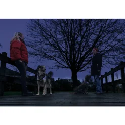 Safety Gear Halsband +USB Dogini Blauw 70 x 10 cm^Beeztees Best