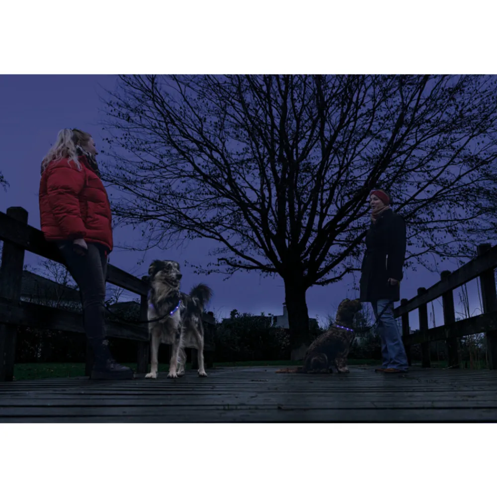 Safety Gear Halsband +USB Dogini Blauw 70 x 10 cm^Beeztees Best