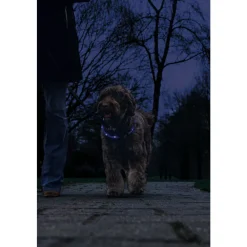 Safety Gear Halsband +USB Dogini Blauw 70 x 10 cm^Beeztees Best