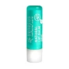Discount Natuurlijke Lip Balm Mint 4,7 gr Lipverzorging