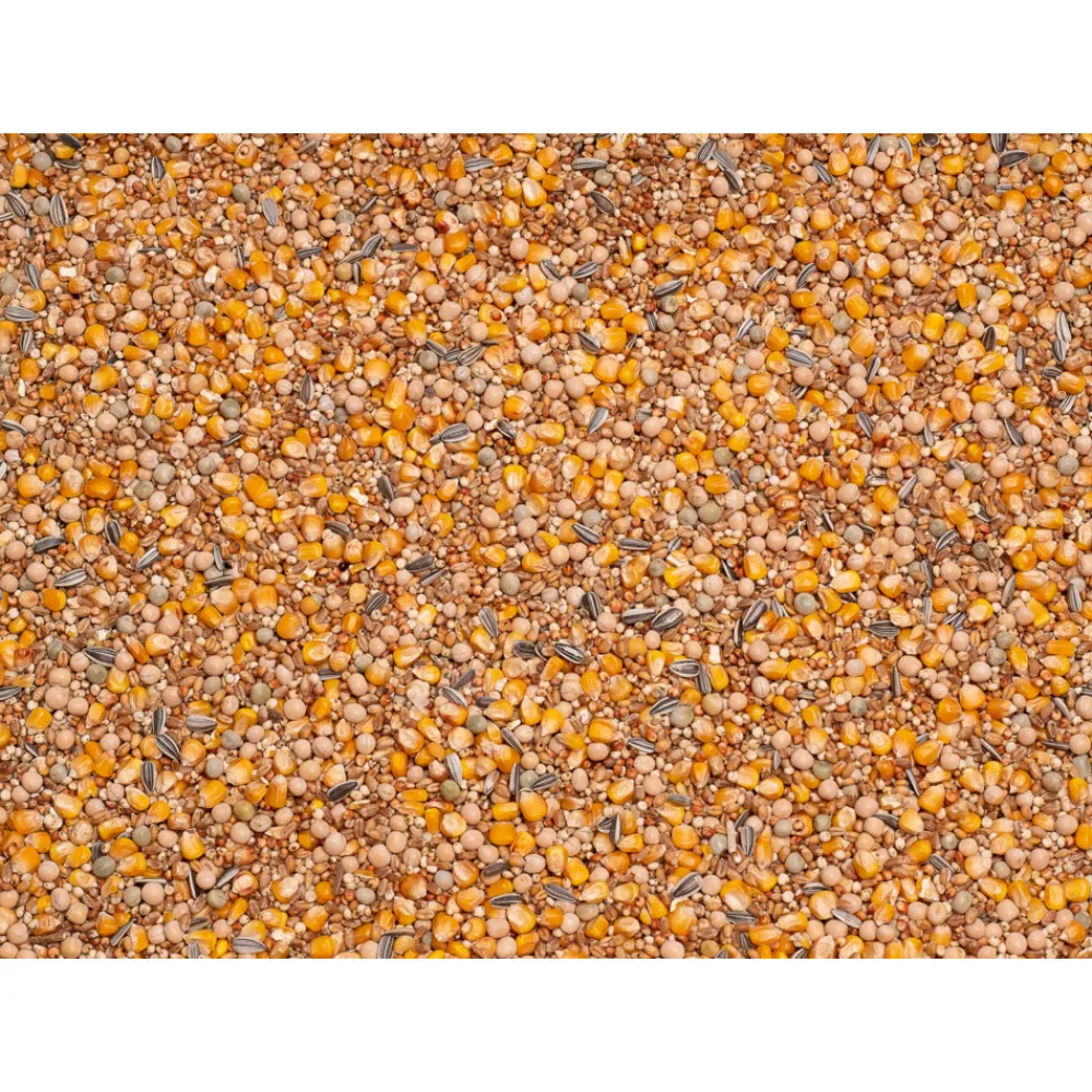 Basic Racing 25 kg^Beyers Discount